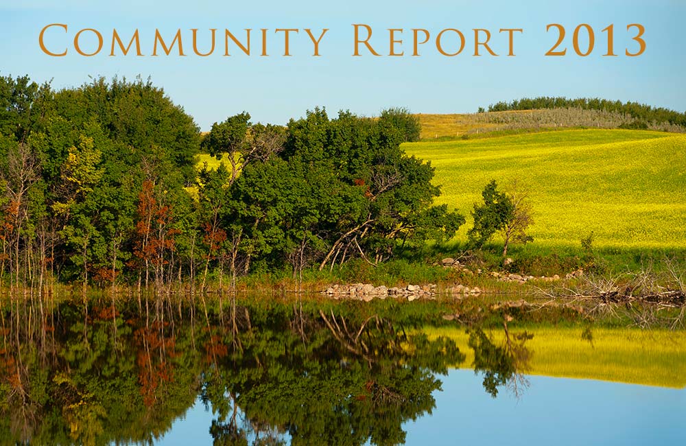 Community Report 2013