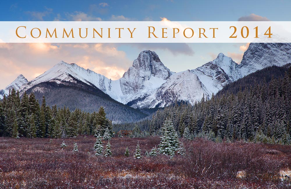 Community Report 2014