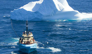 Iceberg Management